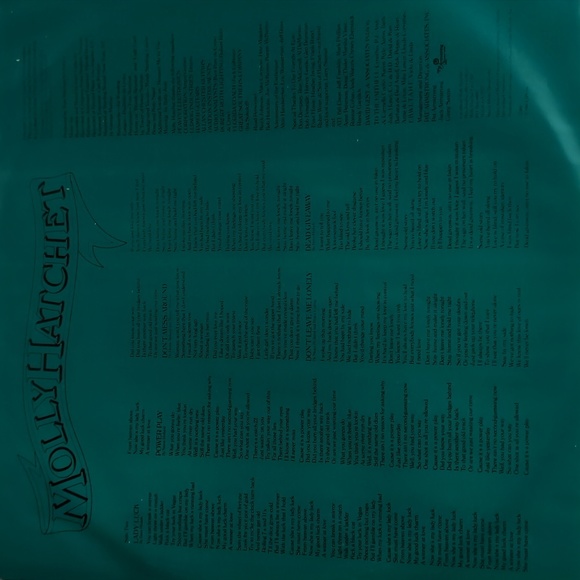 Vintage MOLLY HATCHET Take No Prisoners Viny LP Record Album - Picture 7 of 8